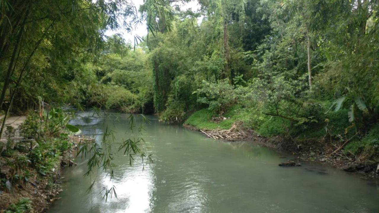 באנטול Gerbang Banyu Langit Cottage מראה חיצוני תמונה